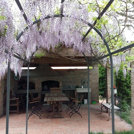 B&B Le Ripe Lugo  Exteriör bild